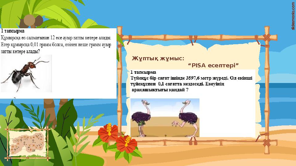 Жұптық жұмыс: “PISA есептері”