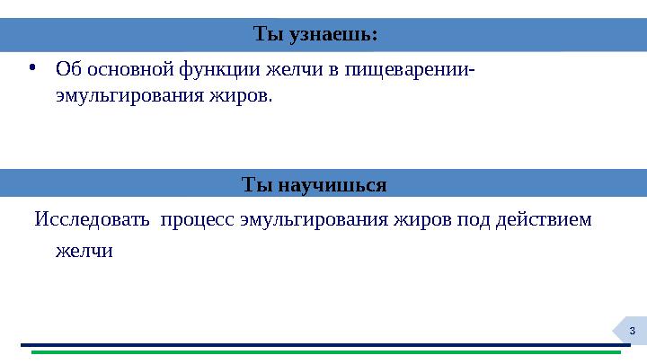 3 •Об основной функции желчи в пищеварении- эмульгирования жиров. Исследовать процесс эмульгирования жиров под действием жел 3 •Об основной функции желчи в пищеварении- эмульгирования жиров. Исследовать процесс эмульгирования жиров под действием жел
