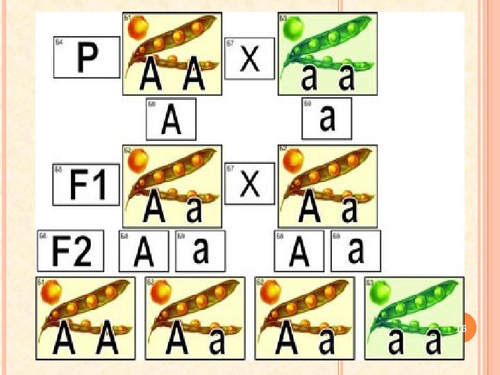 16 16
