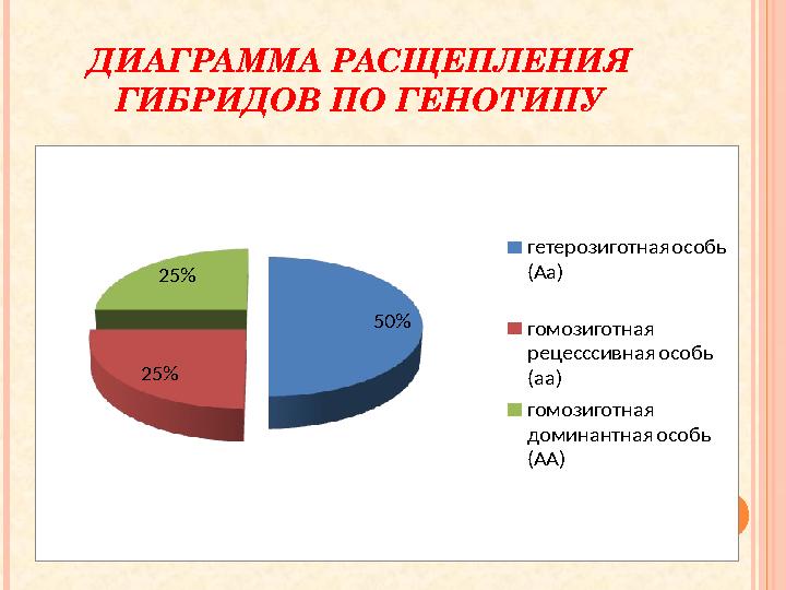 ДИАГРАММА РАСЩЕПЛЕНИЯ ГИБРИДОВ ПО ГЕНОТИПУ 50% 25% 25% гетерозиготная особь (Аа) гомозиготная рецесссивная особь (аа) гомо ДИАГРАММА РАСЩЕПЛЕНИЯ ГИБРИДОВ ПО ГЕНОТИПУ 50% 25% 25% гетерозиготная особь (Аа) гомозиготная рецесссивная особь (аа) гомо
