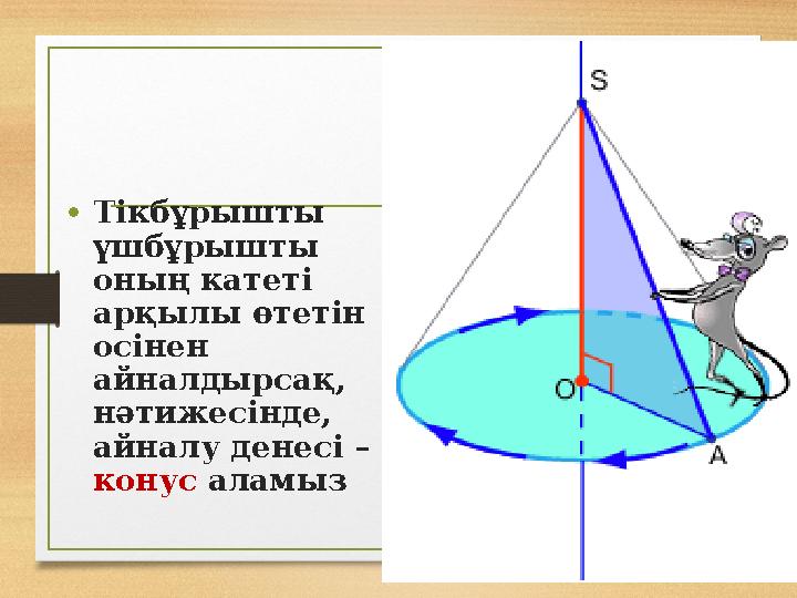 •Тікбұрышты үшбұрышты оның катеті арқылы өтетін осінен айналдырсақ, нәтижесінде, айналу денесі – конус аламыз