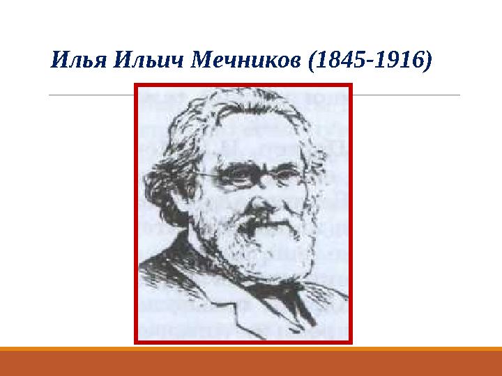 Илья Ильич Мечников (1845-1916)