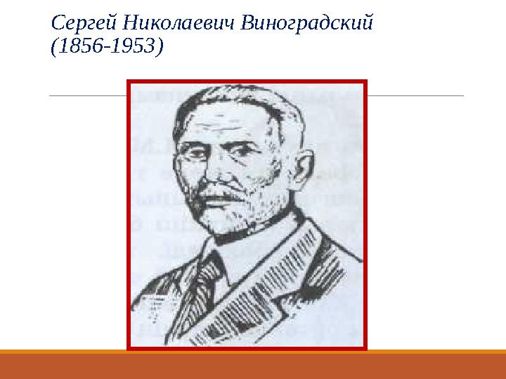 Сергей Николаевич Виноградский (1856-1953)