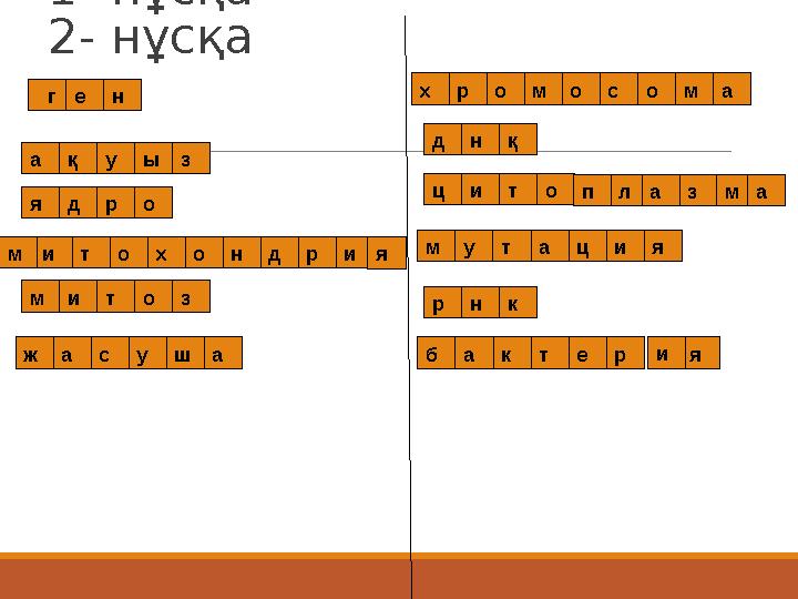 1- нұсқа 2- нұсқа ген ақ ыу я р з од им тохо дн ри митоз жасуша хромосома днқ цито мутация нр к