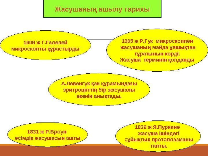 Жасушаның ашылу тарихы 1609 ж Г.Галелей микроскопты құрастырды 1665 ж Р.Гук микроскоппен жасушаның майда ұяшықтан тұратынын