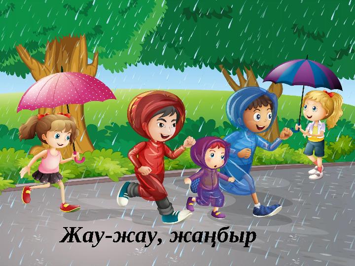 Жау-жау, жаңбыр