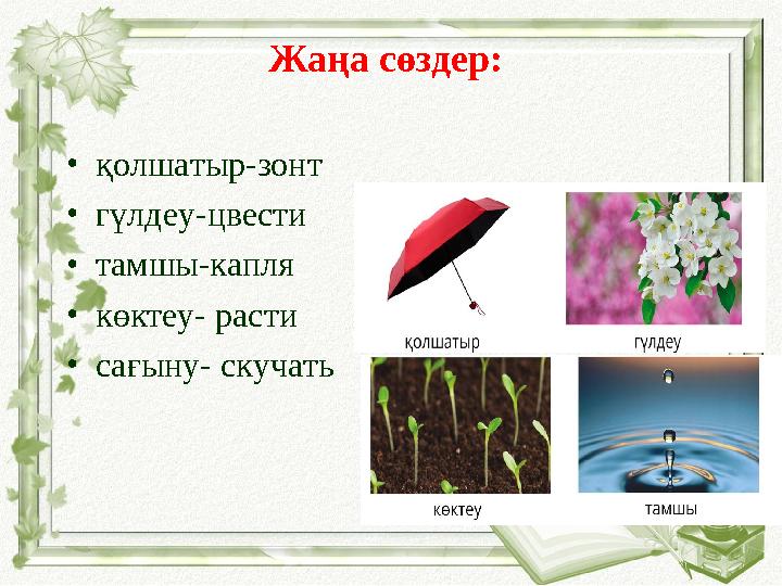 Жаңа сөздер: •қолшатыр-зонт •гүлдеу-цвести •тамшы-капля •көктеу- расти •сағыну- скучать