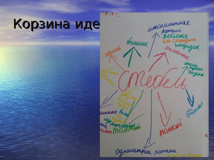 Корзина идейКорзина идей