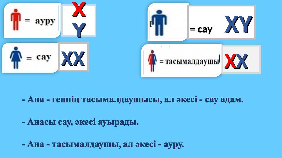 ХХ ҮҮ ХХХХ ХХХХ = сау = сау ХҮХҮ ХХ ҮҮ ХХХХ ХХХХ = сау = сау ХҮХҮ