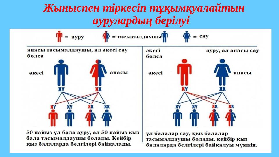 Жыныспен тіркесіп тұқымқуалайтын аурулардың берілуі Жыныспен тіркесіп тұқымқуалайтын аурулардың берілуі