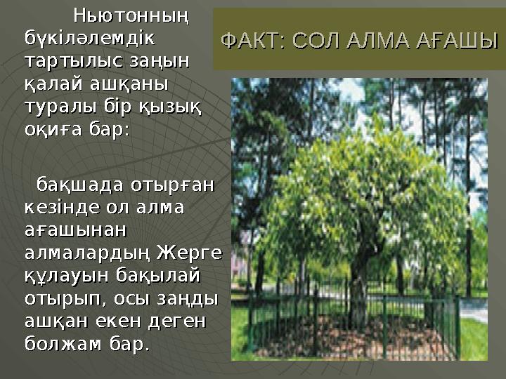 Ньютонның Ньютонның бүкіләлемдік бүкіләлемдік тартылыс заңын тартылыс заңын қалай ашқаны қалай ашқаны туралы бір қызық тур