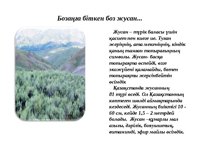Жусан – түрік баласы үшін қасиет пен киеге ие. Туған жеріңнің, ата мекеніңнің, кіндік қаның тамған топырағыңның символы. Ж