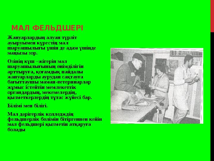 МАЛ ФЕЛЬДШЕРІ Жануарлардың алуан түрліт ауыруымен күрестің мал шаруашылығы үшін де адам үшінде маңызы зор. Өзінің күш –жігер