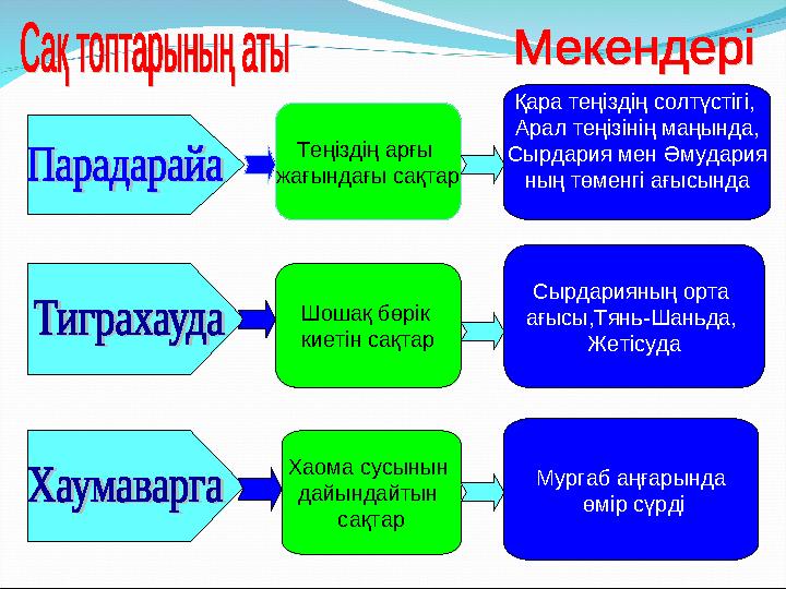 Теңіздің арғы жағындағы сақтар Шошақ бөрік киетін сақтар Хаома сусынын дайындайтын сақтар Қара теңіздің солтүстігі, Арал