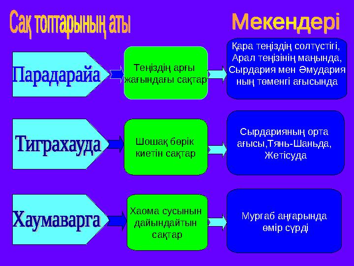 Теңіздің арғы жағындағы сақтар Шошақ бөрік киетін сақтар Хаома сусынын дайындайтын сақтар Қара теңіздің солтүстігі, Арал