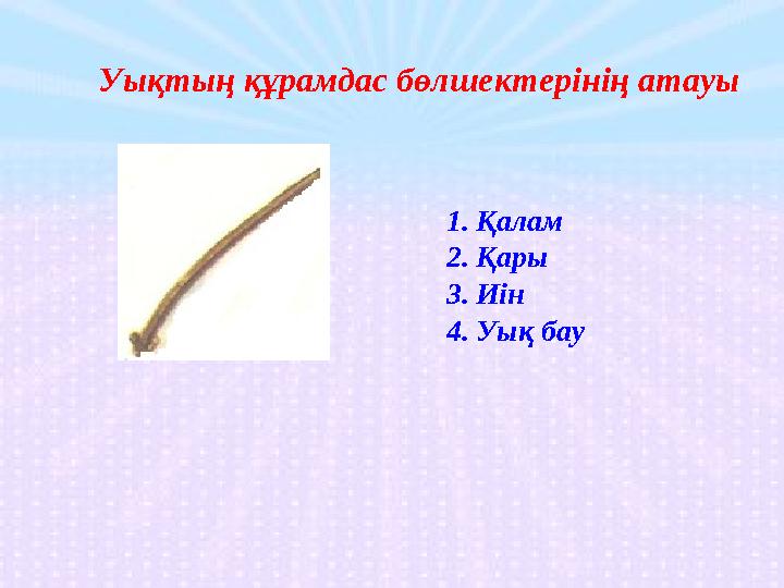 Уықтың құрамдас бөлшектерінің атауы 1.Қалам 2.Қары 3.Иін 4.Уық бау