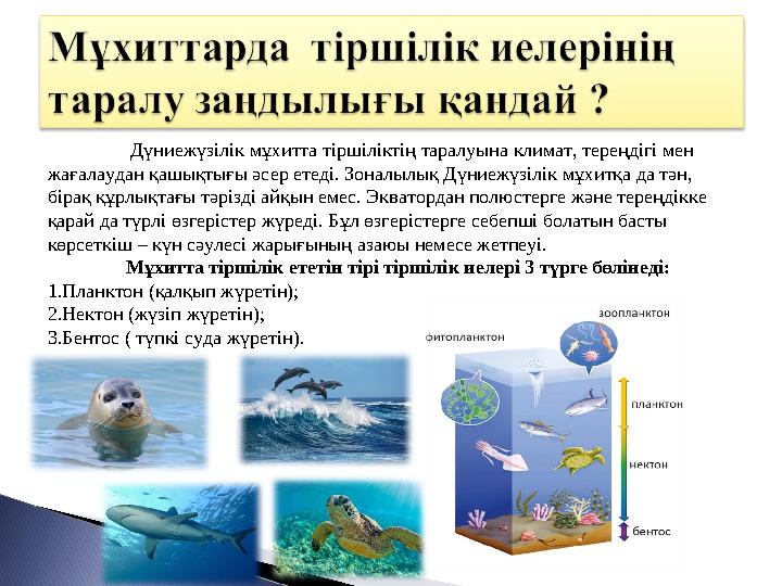 Дүниежүзілік мұхитта тіршіліктің таралуына климат, тереңдігі мен жағалаудан қашықтығы әсер етеді. Зоналылық Дүниежүзілік мұ