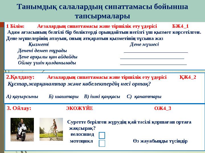 1 Білім: Ағзалардың сипаттамасы және тіршілік ету үдерісі БЖ4_1 Адам ағзасының белгілі бір бөлі