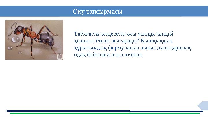 14 Оқу тапсырмасы Табиғатта кездесетін осы жәндік қандай қышқыл бөліп шығарады? Қышқылдың құрылымдық формуласын жазып,халықара