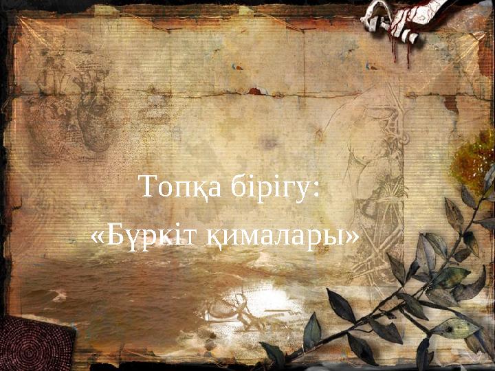 Топқа бірігу: «Бүркіт қималары» Топқа бірігу: «Бүркіт қималары»