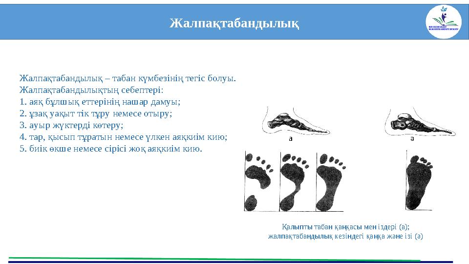 Жалпақтабандылық Жалпақтабандылық – табан күмбезінің тегіс болуы. Жалпақтабандылықтың себептері: 1. аяқ бұлшық еттерінің нашар