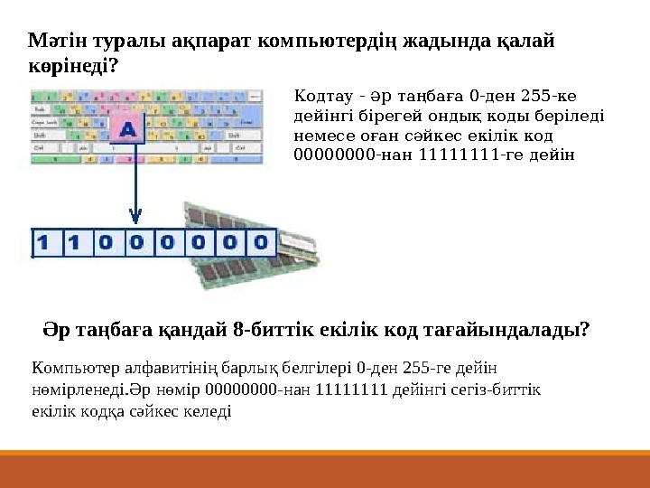 Мәтін туралы ақпарат компьютердің жадында қалай көрінеді? Кодтау - әр таңбаға 0-ден 255-ке дейінгі бірегей ондық коды беріледі
