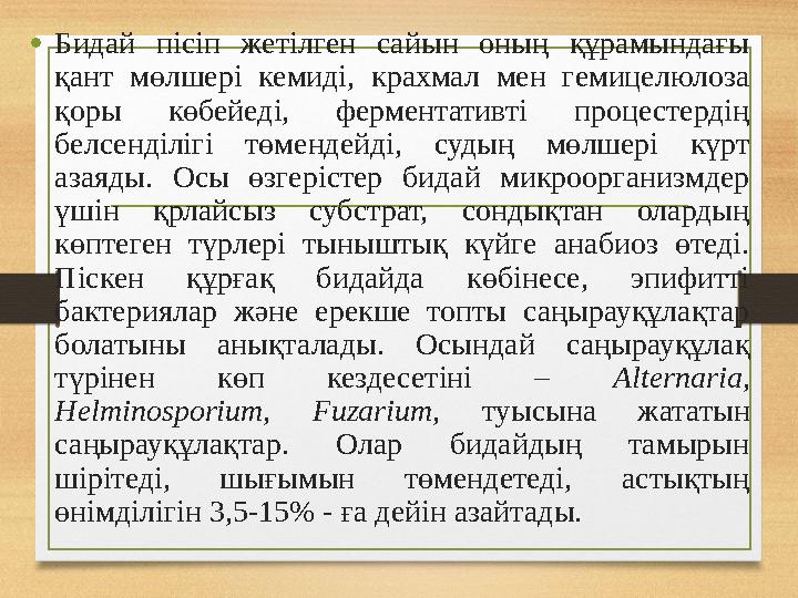 •Бидай пісіп жетілген сайын оның құрамындағы қант мөлшері кемиді, крахмал мен гемицелюлоза қоры көбейеді, ферментативті процес