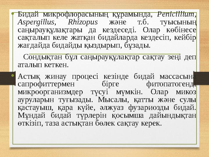 •Бидай микрофлорасының құрамында, Penicillium, Aspergillus, Rhizopus және т.б. туысының саңырауқұлақтары да кездеседі. Олар кө