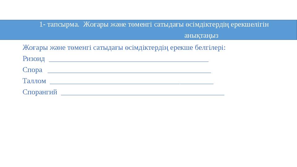 Жоғары және төменгі сатыдағы өсімдіктердің ерекше белгілері: Ризоид ___________________________________________ Спора _________