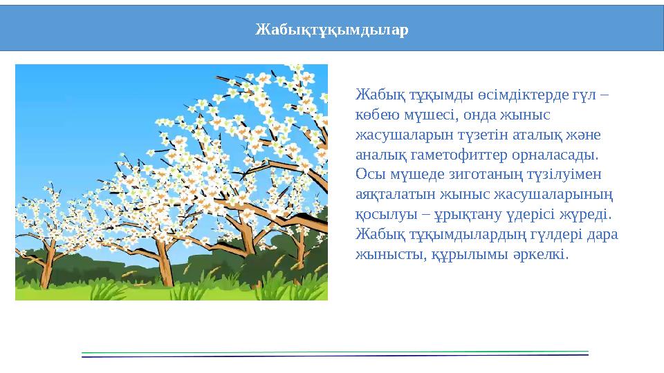 Жабық тұқымды өсімдіктерде гүл – көбею мүшесі, онда жыныс жасушаларын түзетін аталық және аналық гаметофиттер орналасады. Ос