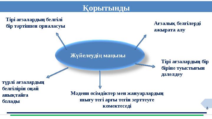 8 Тірі ағзалардың белгілі бір тәртіппен орналасуы Ағзалық белгілерді ажырата алу түрлі ағзалардың белгілірін оңай анықтайға