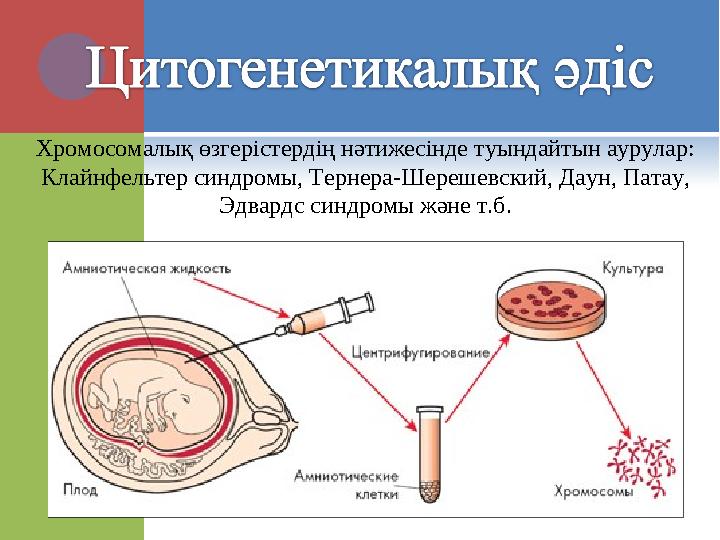 Хромосомалық өзгерістердің нәтижесінде туындайтын аурулар: Клайнфельтер синдромы, Тернера-Шерешевский, Даун, Патау, Эдвардс с