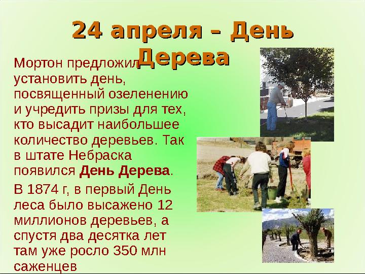 24 апреля – День 24 апреля – День ДереваДереваМортон предложил установить день, посвященный озеленению и учредить призы для