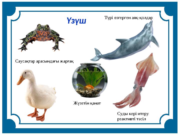 Жүзетін қанат Саусақтар арасындағы жарғақ Үзүш Суды кері итеру реактивті тәсіл Түрі өзгерген аяқ-қолдар