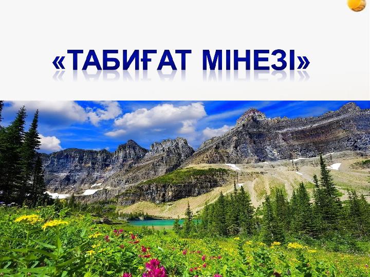 Ашық сабақтар