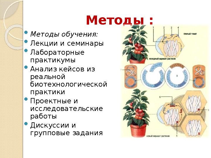 Методы :  Методы обучения:  Лекции и семинары  Лабораторные практикумы  Анализ кейсов из реальной биотехнологической пра