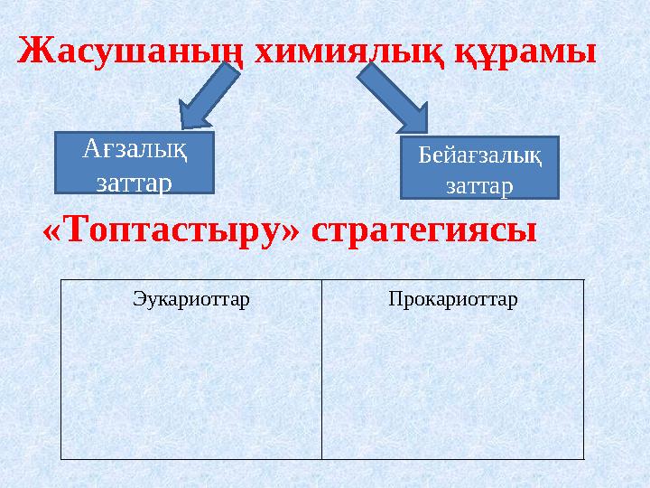 Жасушаның химиялық құрамы Ағзалық заттар Бейағзалық заттар «Топтастыру» стратегиясы Эукариоттар Прокариоттар