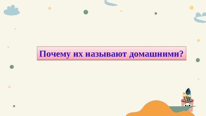 Почему их называют домашними?