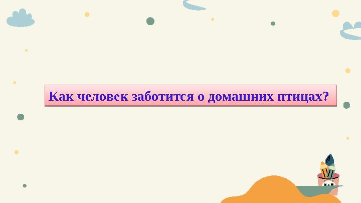 Как человек заботится о домашних птицах?
