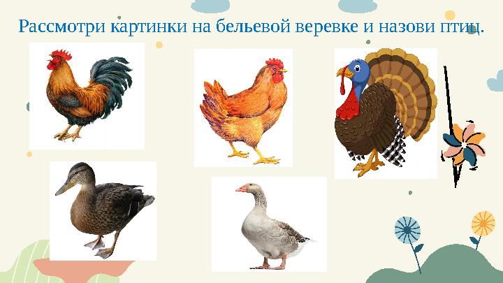 Рассмотри картинки на бельевой веревке и назови птиц.