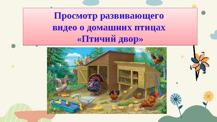 Просмотр развивающего видео о домашних птицах «Птичий двор»