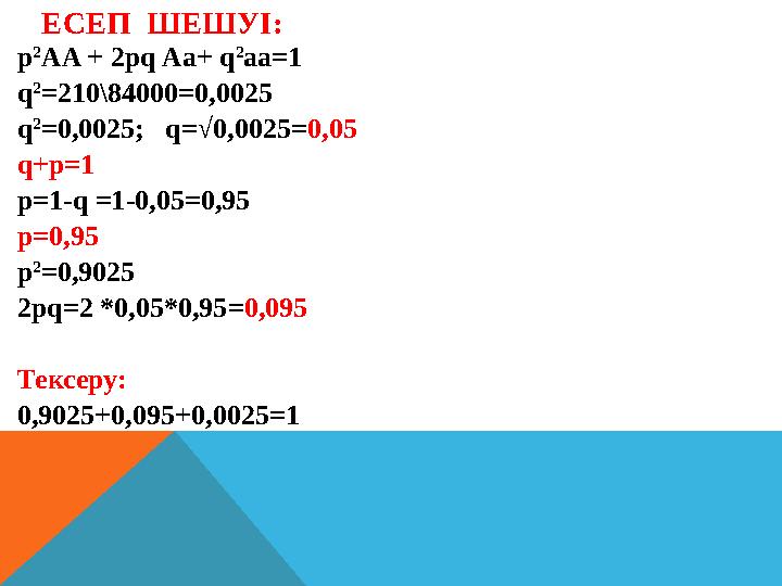 ЕСЕП ШЕШУІ: p 2 AA + 2pq Aa+ q 2 aa=1 q 2 =210\84000=0,0025 q 2 =0,0025; q=√0,0025=0,05 q+p=1 p=1-q =1-0,05=0,95 p=0,95 p 2