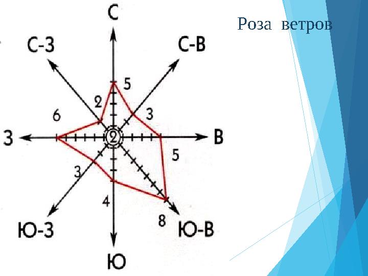 Роза ветров