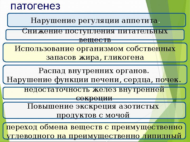 патогенез Нарушение регуляции аппетита . Повышение экскреция азотистых продуктов с мочой недостаточность желез вну