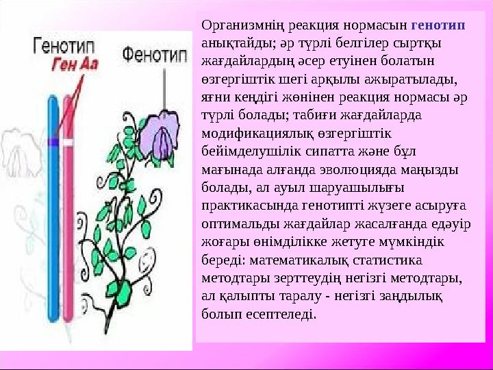 Организмнің реакция нормасын генотип анықтайды; әр түрлі белгілер сыртқы жағдайлардың әсер етуінен болатын өзгергіштік шегі а