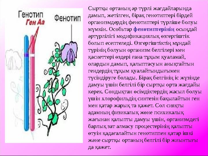 Сыртқы ортаның әр түрлі жағдайларында дамып, жетілген, бірақ генотиптері бірдей организмдердің фенотиптері түрліше болуы мүмк