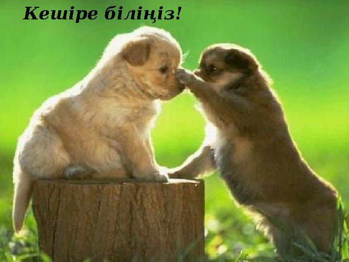 Кешіре біліңіз!