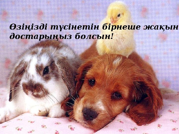 Өзіңізді түсінетін бірнеше жақын достарыңыз болсын!