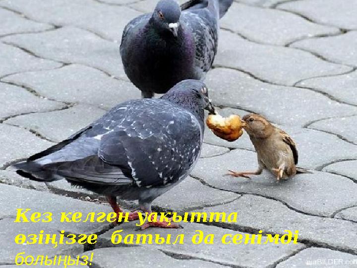 Кез келген уақытта өзіңізге батыл да сенімді болыңыз!