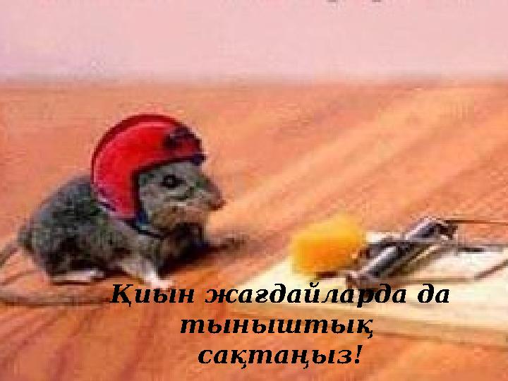 Қиын жағдайларда да тыныштық сақтаңыз!